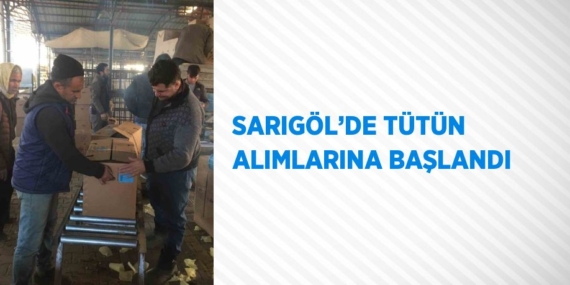 SARIGÖL’DE TÜTÜN ALIMLARINA BAŞLANDI