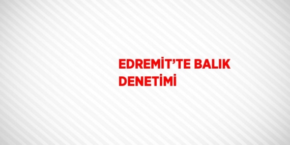 EDREMİT’TE BALIK DENETİMİ