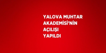 28017231453005425546