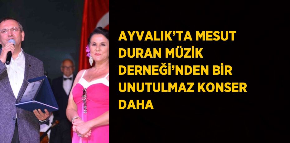 28021209072431827401