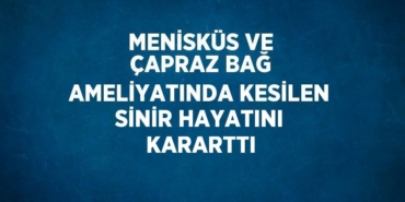 28025257412613227096tasarimli