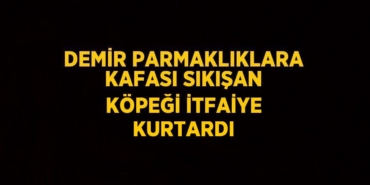 28043255332670823975tasarimli