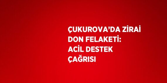 ÇUKUROVA’DA ZİRAİ DON FELAKETİ: ACİL DESTEK ÇAĞRISI