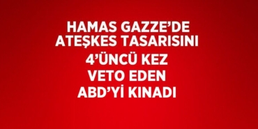 28061291462824231431tasarimli