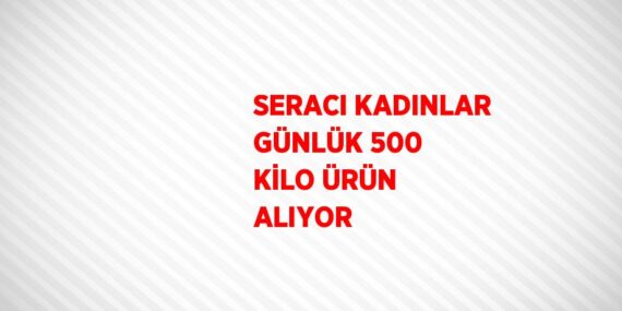 SERACI KADINLAR GÜNLÜK 500 KİLO ÜRÜN ALIYOR
