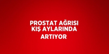 28071236492869124637tasarimli