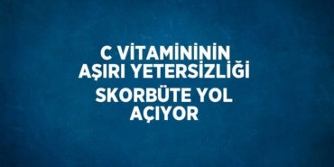 28072242772279128611tasarimli