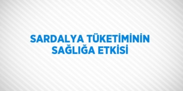 28084281402859530984tasarimli