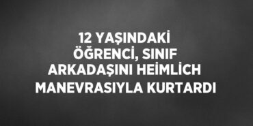 28093232242547820617tasarimli