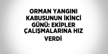 28094269482105324100tasarimli