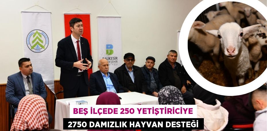 28104232402664528398tasarimli