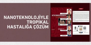 28112283653100928831