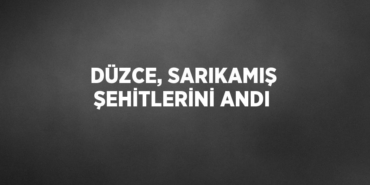 28113217682884220638tasarimli