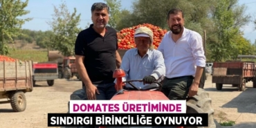 28114266052530720181tasarimli