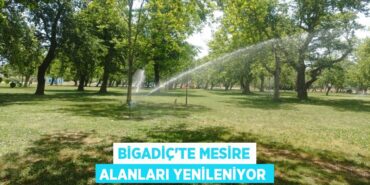 28123303552642623427tasarimli