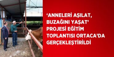 28124226882310528411