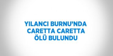 28125314442758530635tasarimli