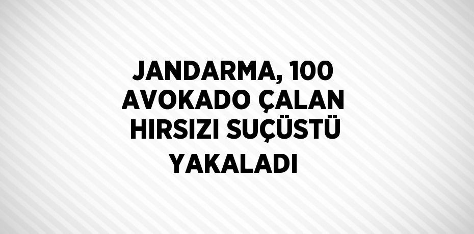 28131222112093626931tasarimli