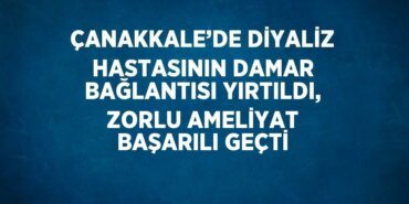 28131240832584324254tasarimli