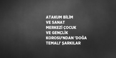 28141301773150930799