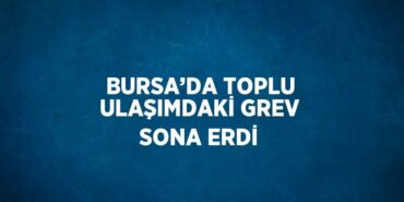 28142316292696528555tasarimli