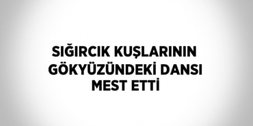 28147289032253929885tasarimli