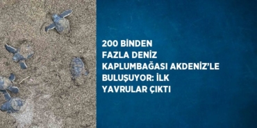 28149248062934431581