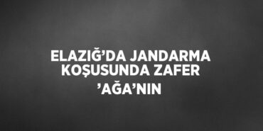 28156258612019529956tasarimli