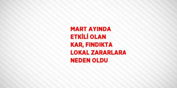 MART AYINDA ETKİLİ OLAN KAR, FINDIKTA LOKAL ZARARLARA NEDEN OLDU