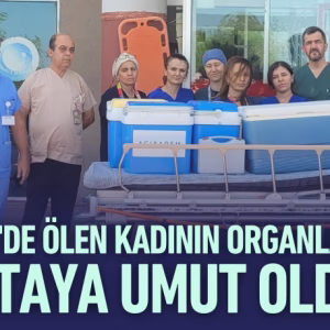 28160201932513528448