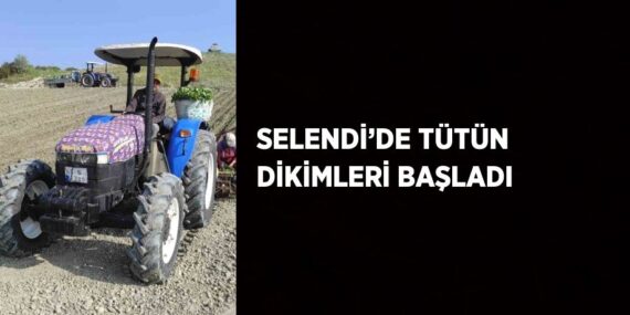 SELENDİ’DE TÜTÜN DİKİMLERİ BAŞLADI