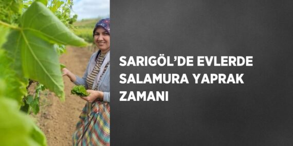 SARIGÖL’DE EVLERDE SALAMURA YAPRAK ZAMANI