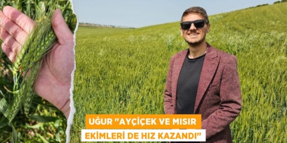 UĞUR "AYÇİÇEK VE MISIR EKİMLERİ DE HIZ KAZANDI"