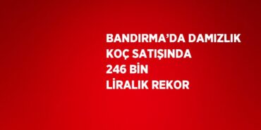 28172201532271531524