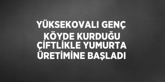 YÜKSEKOVALI GENÇ KÖYDE KURDUĞU ÇİFTLİKLE YUMURTA ÜRETİMİNE BAŞLADI