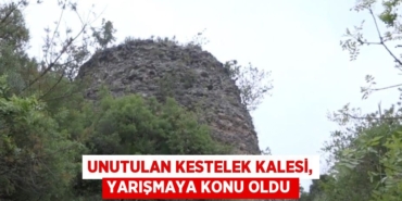 28181200913072424717tasarimli