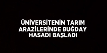 28188319632546921243tasarimli