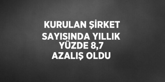 KURULAN ŞİRKET SAYISINDA YILLIK YÜZDE 8,7 AZALIŞ OLDU