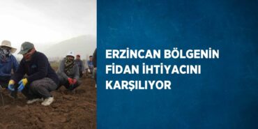 28190281532901722110