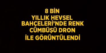 28191241462734724411tasarimli