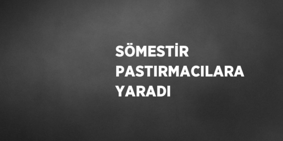 SÖMESTİR PASTIRMACILARA YARADI