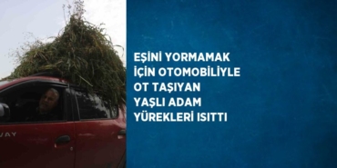 28191291512057827492