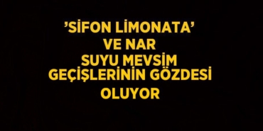 28193298602702027833tasarimli