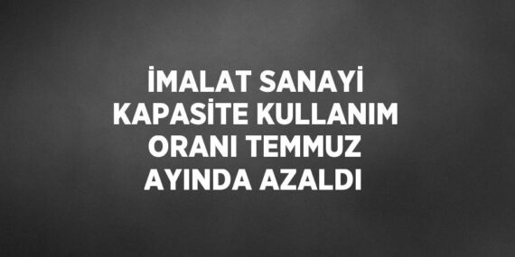 İMALAT SANAYİ KAPASİTE KULLANIM ORANI TEMMUZ AYINDA AZALDI