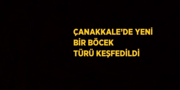 28201306643124424620