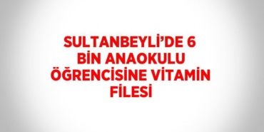 28204254002718426169tasarimli