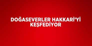 28212290392718721992tasarimli