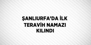 28212291302713031419tasarimli
