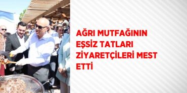 28213236762319630267