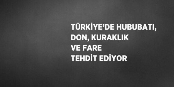 TÜRKİYE’DE HUBUBATI, DON, KURAKLIK VE FARE TEHDİT EDİYOR